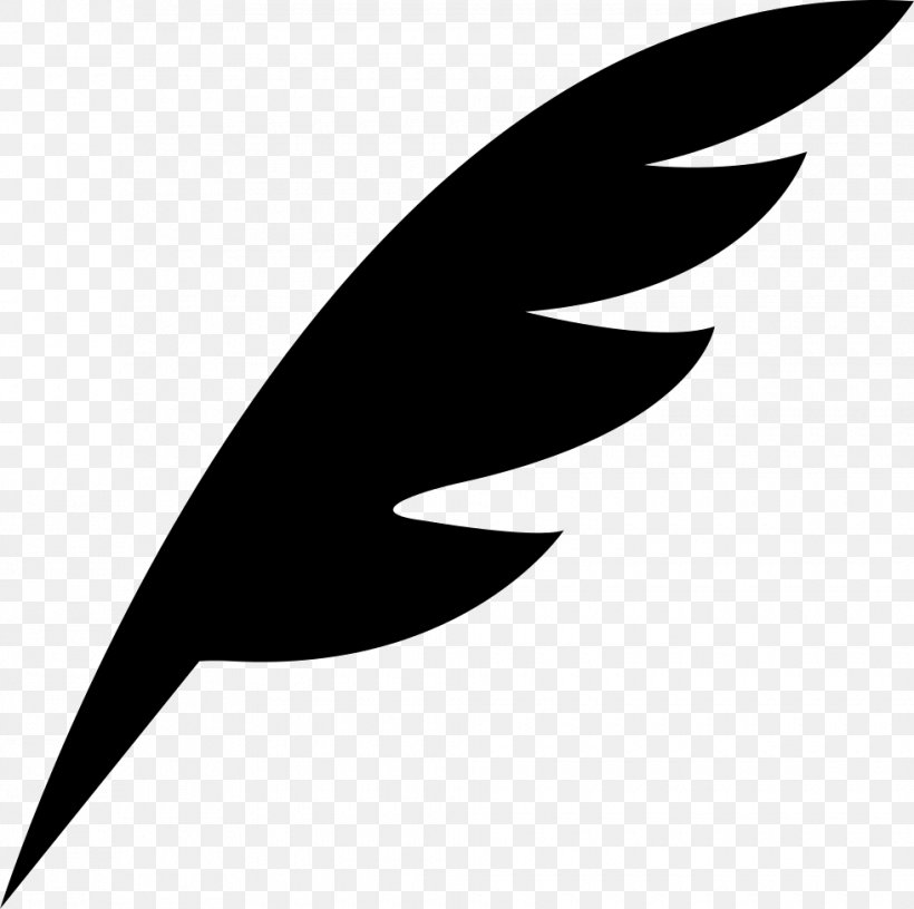 Feather Art Pen Translation Vector Graphics, PNG, 980x976px, Feather, Art, Art Museum, Beak, Bird Download Free