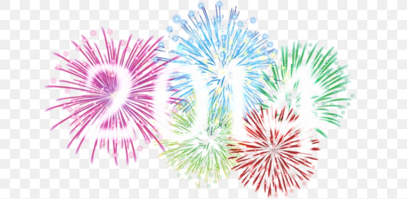 Fireworks - Fireworks New Year Artificier Denain Organism PNG