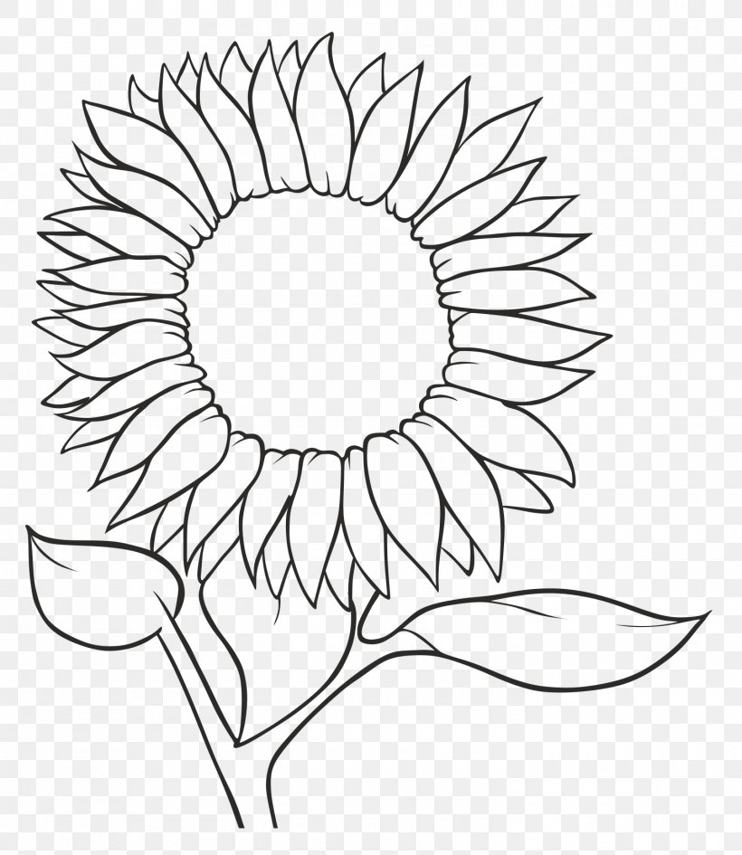 Common Sunflower Drawing Sunflower Seed Sketch, PNG, 1500x1729px, Common  Sunflower, Artwork, Black And White, Cartoon, Coloring