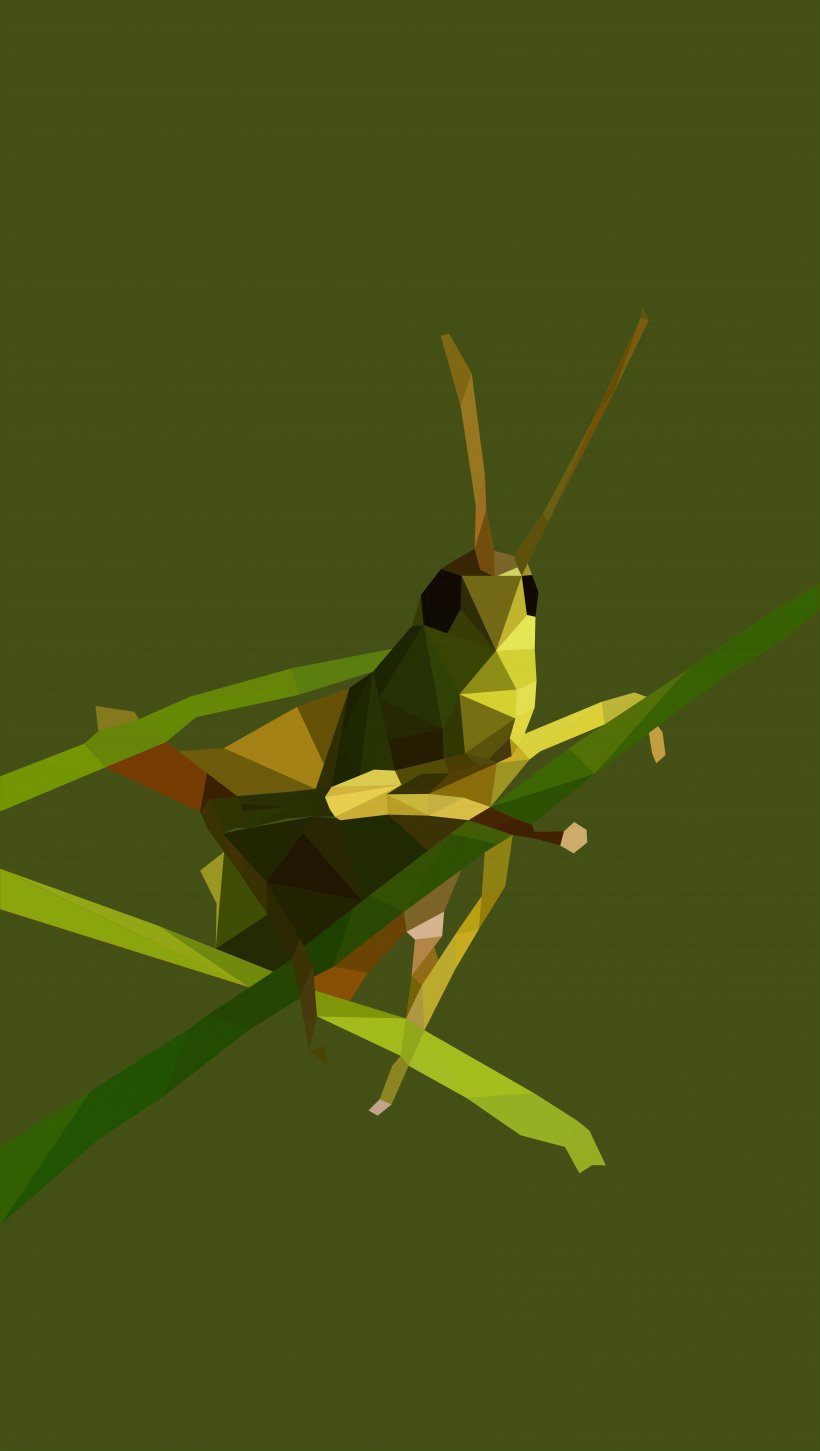Grasshopper Insect Tettigonia Viridissima Locust Mantis, PNG, 6854x12132px, Grasshopper, Arthropod, Cricket, Cricket Like Insect, Fauna Download Free