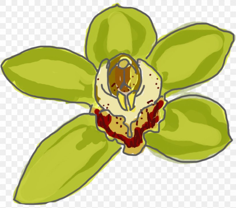 Insect Leaf Petal Plant Stem Clip Art, PNG, 839x740px, Insect, Artwork, Flora, Flower, Flowering Plant Download Free