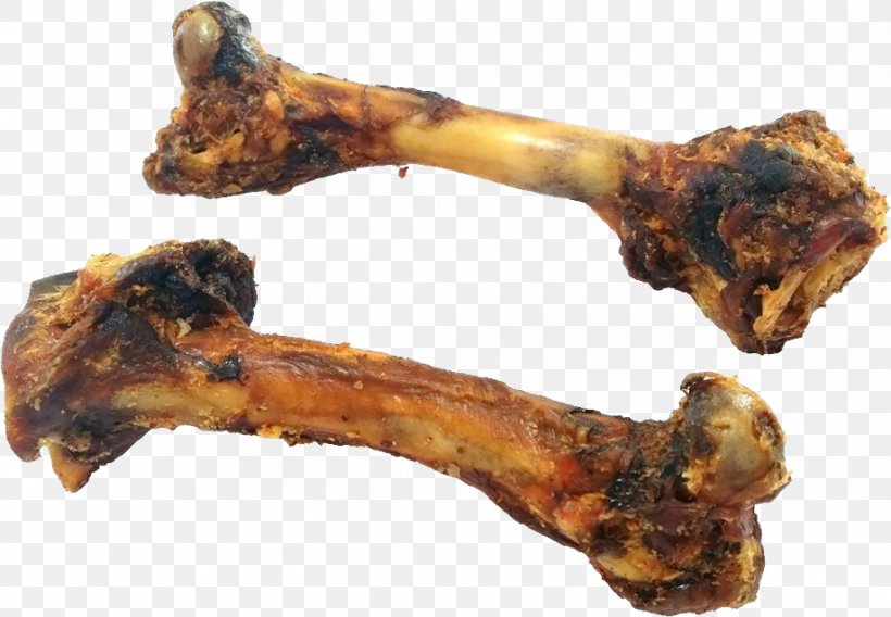 dog bone food