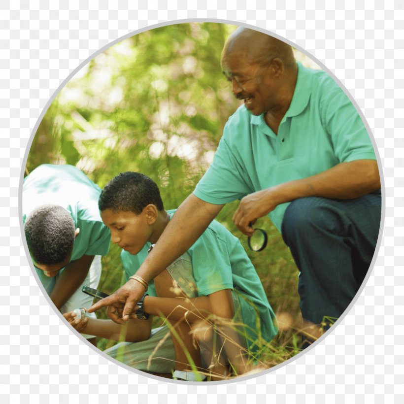 Volunteering Stanford Center On Longevity Natural Environment Life Social Engagement, PNG, 834x834px, Volunteering, Behavior, Child, City, Cognition Download Free