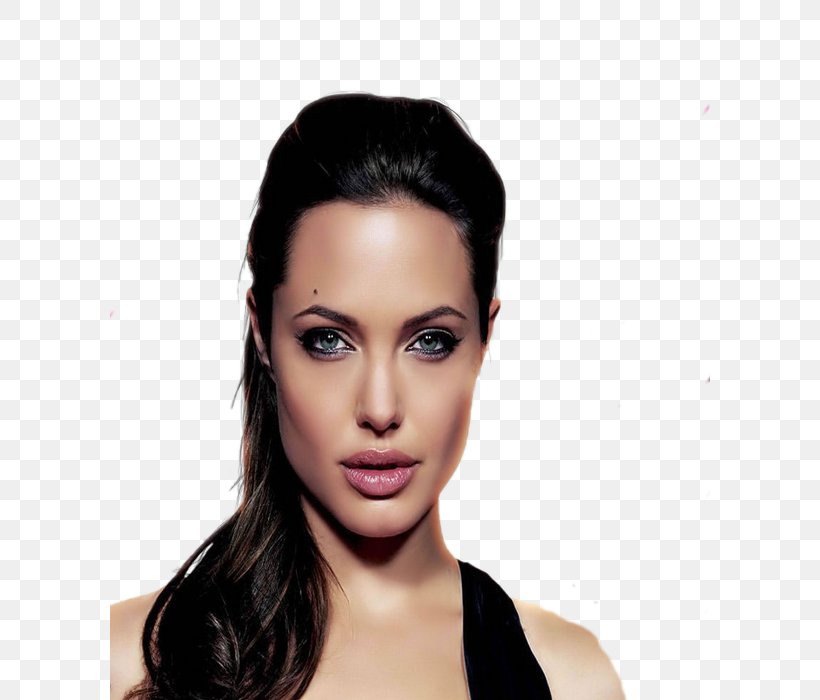 Angelina Jolie Actor Female Celebrity Montreal, PNG, 600x700px, Angelina Jolie, Actor, Beauty, Black Hair, Brown Hair Download Free
