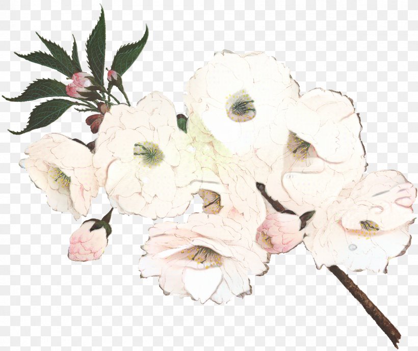 Flowers Background, PNG, 1797x1510px, Floral Design, Azalea, Blossom, Branch, Cut Flowers Download Free