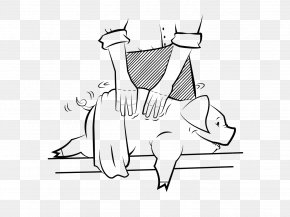 Cat - Cat Line Art Drawing Sketch PNG