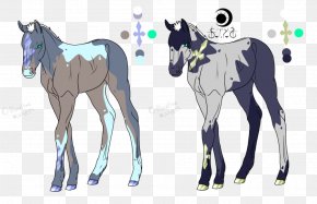 Mustang - Foal Mustang Colt Stallion Mare PNG
