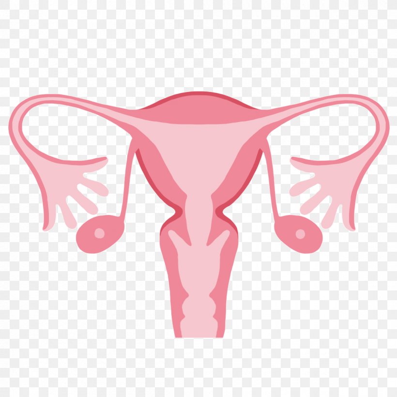 Intrauterine Device Uterus Birth Control Ovary Menstruation, PNG, 1200x1200px, Watercolor, Cartoon, Flower, Frame, Heart Download Free