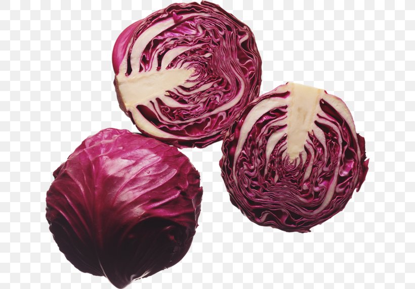Red Cabbage Health Nutrition Eating, PNG, 640x572px, Red Cabbage, Anthocyanin, Book, Brassica Oleracea, Cabbage Download Free