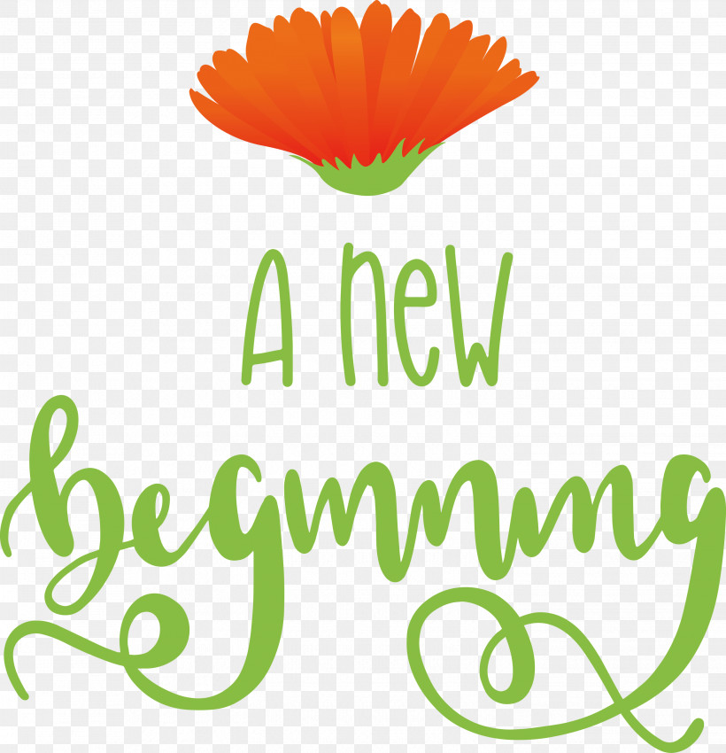 A New Beginning, PNG, 2893x2999px, Amazoncom, Book, Createspace, Cut Flowers, Diary Download Free