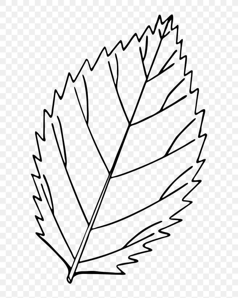 Autumn Leaf Color Drawing Red Maple Clip Art, PNG, 672x1024px, Leaf, Area, Autumn, Autumn Leaf Color, Black And White Download Free