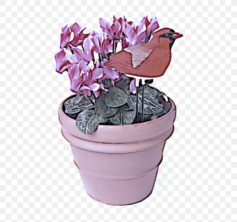 Flower Flowerpot Plant Violet Flowering Plant, PNG, 576x768px, Flower, Cyclamen, Flowering Plant, Flowerpot, Herbaceous Plant Download Free