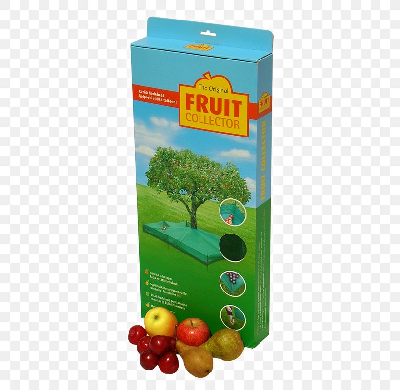 Fruit Tree Apple Plum Cherry, PNG, 500x800px, Fruit, Apple, Cherry, Fruit Tree, Iltasanomat Download Free