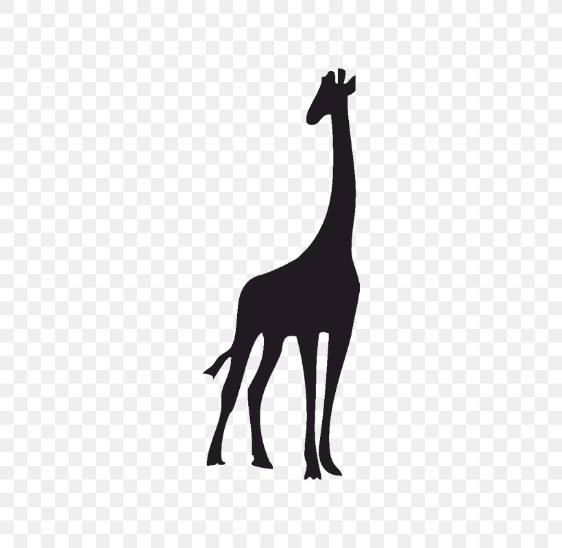 Giraffe Wall Decal Silhouette, PNG, 800x800px, Giraffe, Animal, Animal Figure, Black And White, Decal Download Free