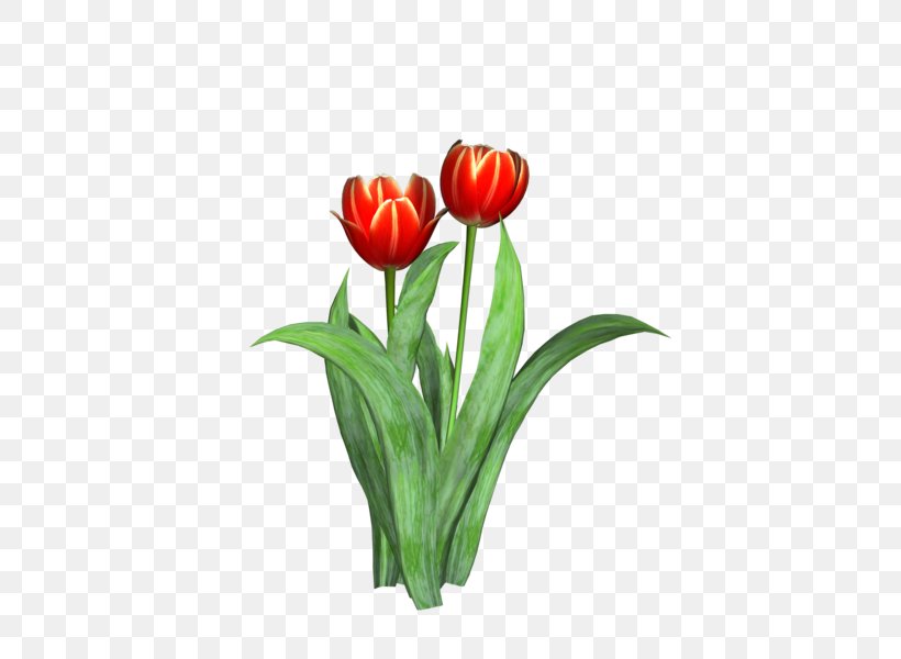 Tulip Cut Flowers Plant, PNG, 600x600px, Tulip, Cut Flowers, Floristry, Flower, Flowering Plant Download Free