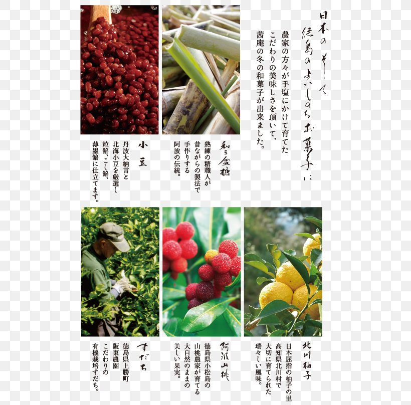 Vegetarian Cuisine Fruit Liqueur Iki Island 壱岐焼酎, PNG, 514x808px, Vegetarian Cuisine, Food, Fruit, Liqueur, Local Food Download Free