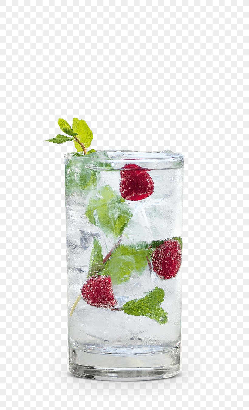Gin And Tonic Vodka Tonic Schnapps Cocktail Garnish, PNG, 600x1350px, Gin And Tonic, Alcoholic Drink, Cocktail, Cocktail Garnish, Drink Download Free