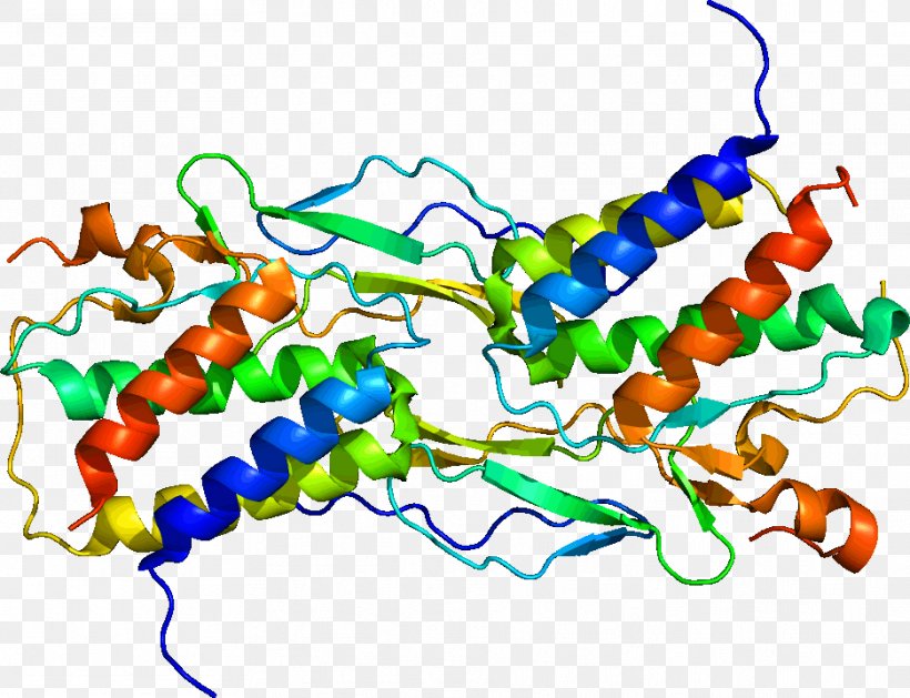 Interleukin 15 Interleukin-2 IL-2 Receptor Cytokine, PNG, 936x719px, Interleukin 15, Area, Artwork, Body Jewelry, Cell Download Free