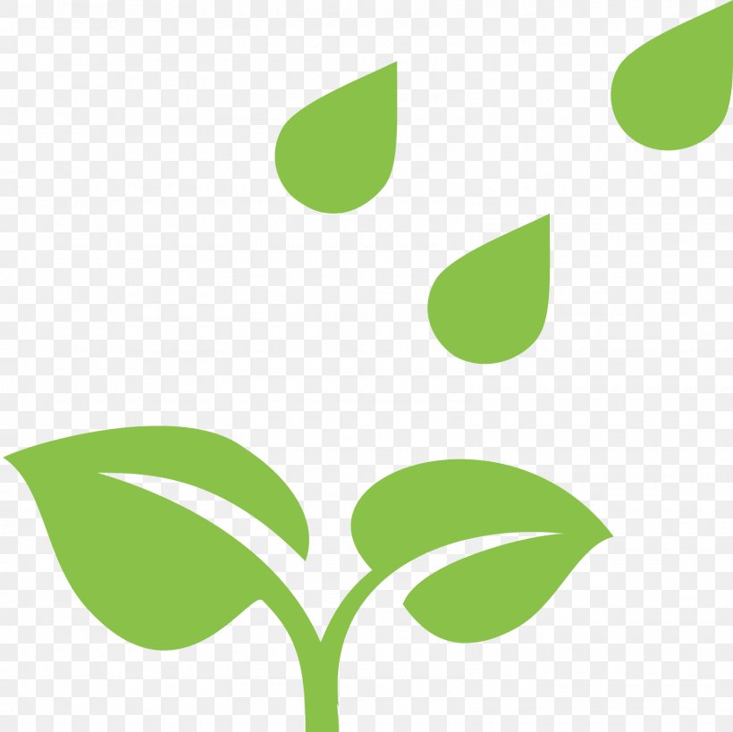 Rain Symbol Desktop Wallpaper Clip Art, PNG, 1600x1600px, Rain, Brand, Grass, Green, Irrigation Download Free