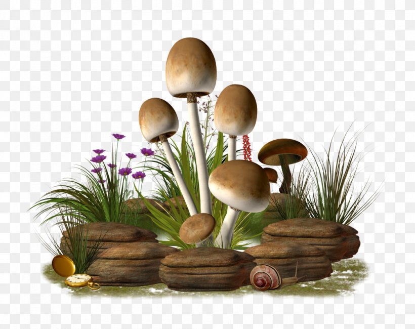 Mushroom Photography Clip Art, PNG, 1004x796px, Mushroom, Art, Edible Mushroom, Flower, Flowerpot Download Free