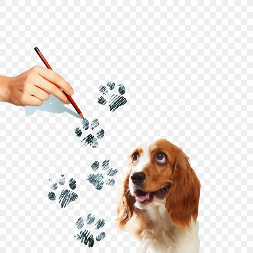 Beagle Puppy Spaniel Paw Illustration, PNG, 1869x1869px, Beagle, Companion Dog, Dog, Dog Breed, Dog Like Mammal Download Free