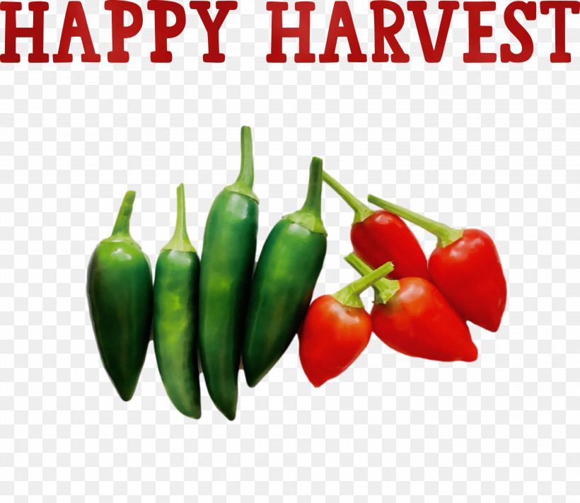 Habanero Cayenne Pepper Serrano Pepper Chili Pepper Natural Food, PNG, 3000x2602px, Happy Harvest, Aubergine, Bell Pepper, Cayenne Pepper, Chili Pepper Download Free