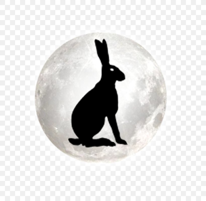 Stonehenge Free Festival Hare Silhouette, PNG, 800x800px, Stonehenge Free Festival, Festival, Hare, Rabbit, Rabits And Hares Download Free