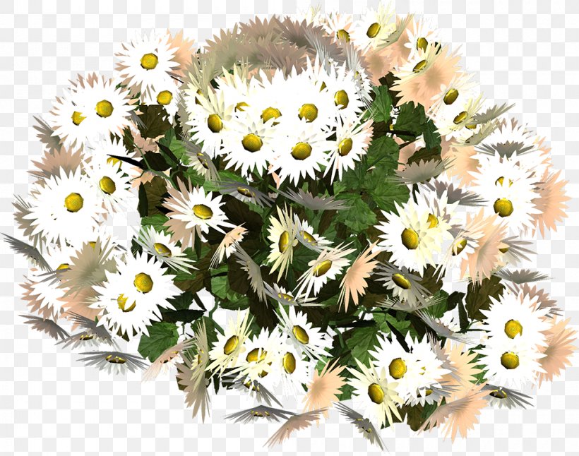 German Chamomile Dendranthema Lavandulifolium Oxeye Daisy Flower Daisy Family, PNG, 1000x789px, German Chamomile, Annual Plant, Chamomile, Chrysanthemum, Chrysanths Download Free