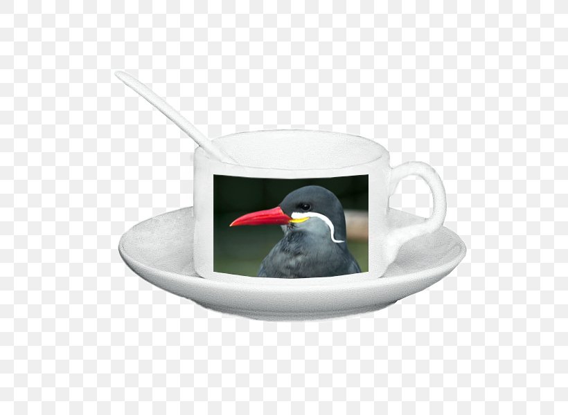 Heureka.cz Mug Plate Beak Diameter, PNG, 600x600px, Heurekacz, Beak, Bird, Cup, Diameter Download Free