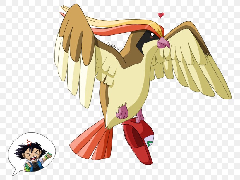 Pidgeotto Pokémon FireRed And LeafGreen Ash Ketchum Pokémon GO Pokémon Red And Blue, PNG, 800x617px, Watercolor, Cartoon, Flower, Frame, Heart Download Free