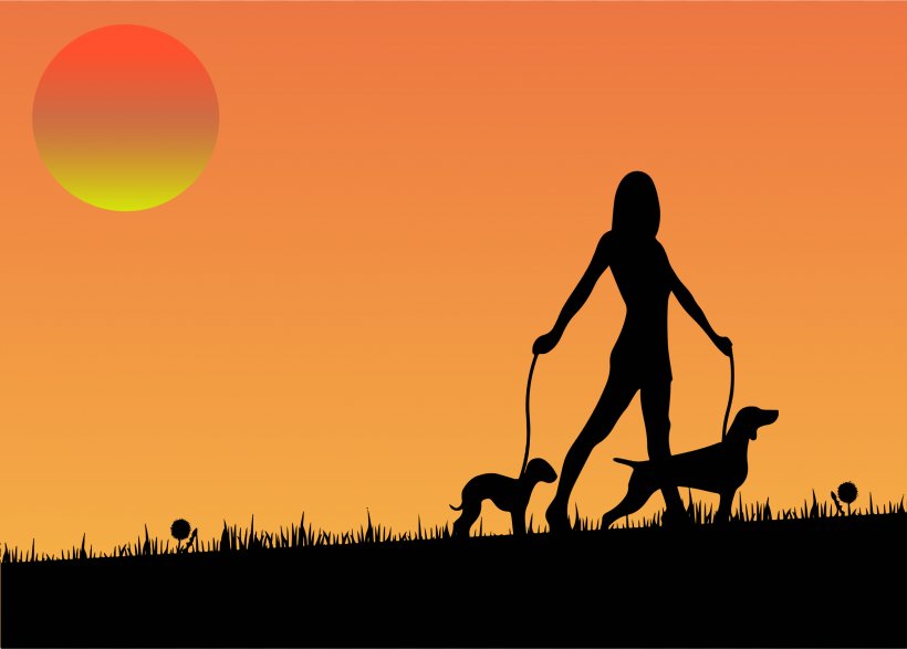 Dog Walking Pet Sitting Woman, PNG, 2400x1719px, Dog, Companion Dog, Dog Walking, Evening, Grass Download Free