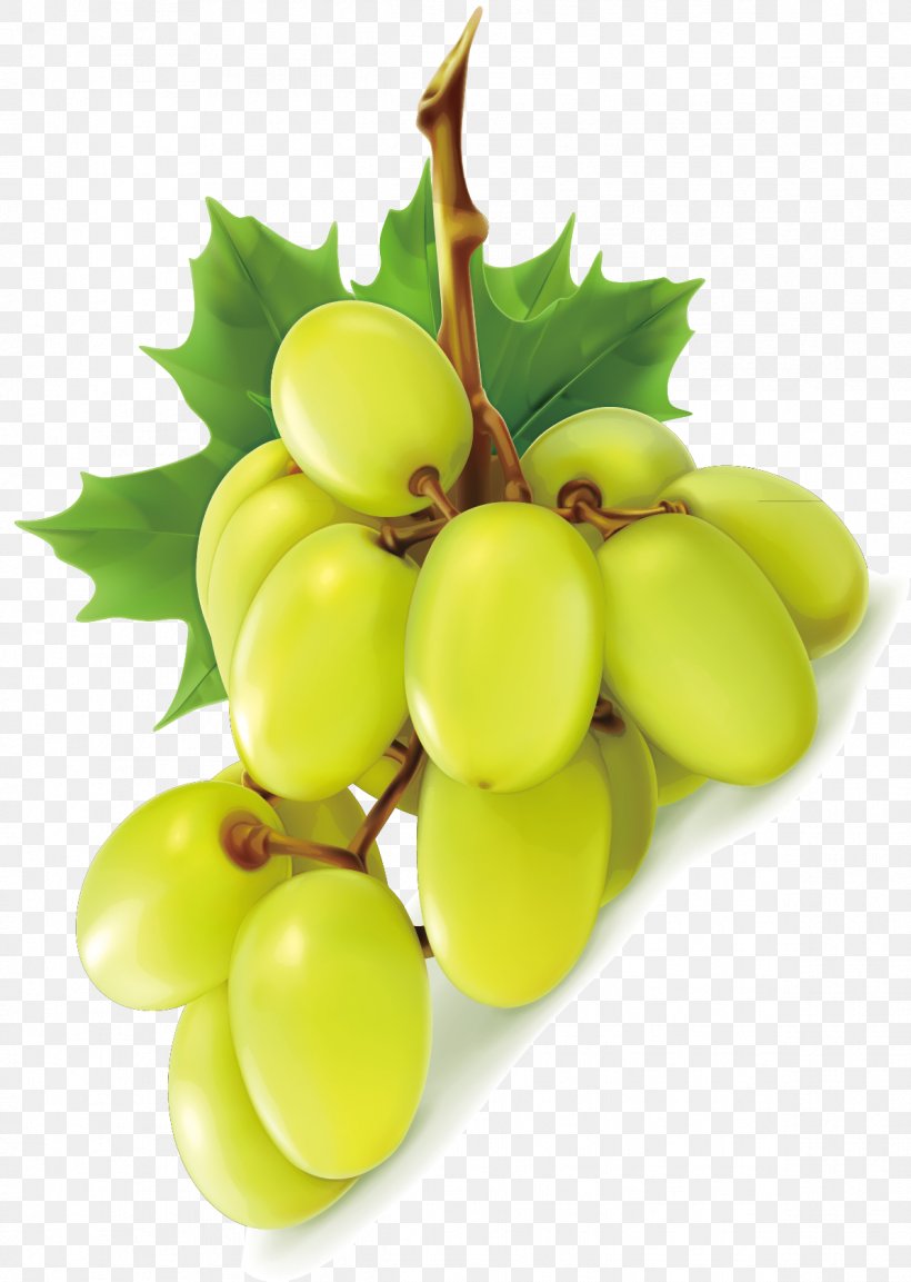 Grape Wine Green Seedless Fruit, PNG, 1194x1679px, Grape, Food, Fruit, Grapevine Family, Green Download Free