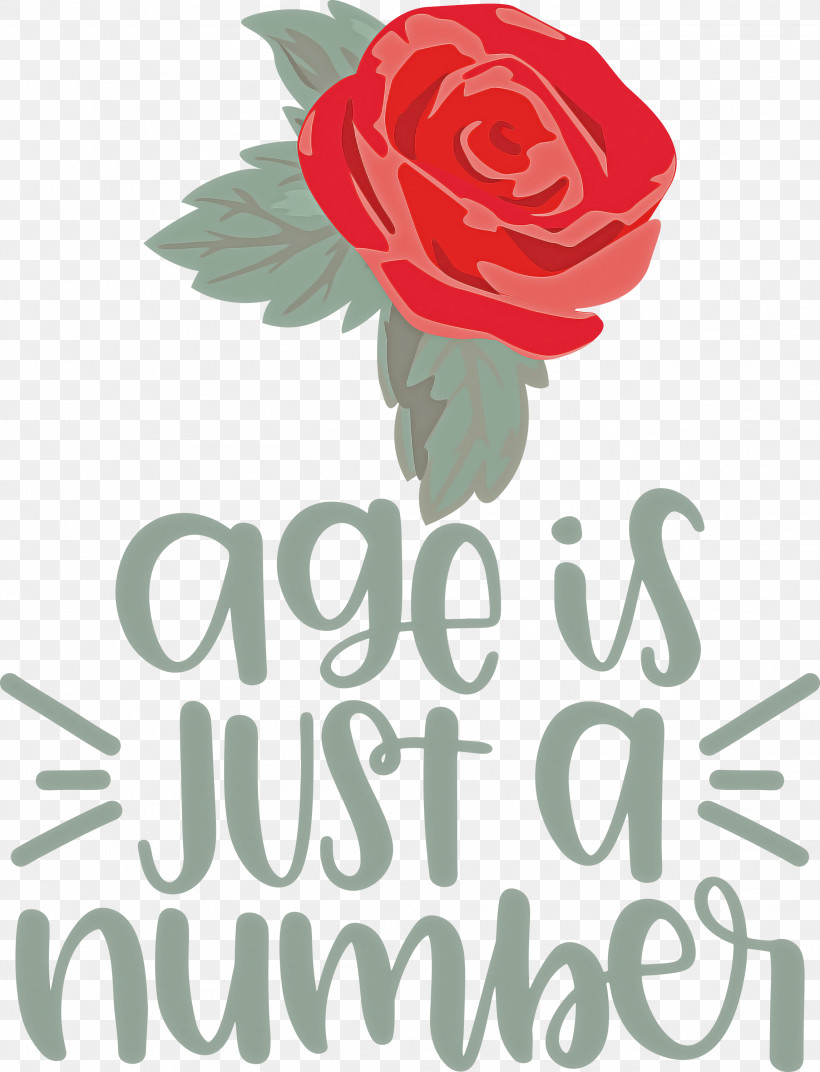 Birthday Age Is Just A Number, PNG, 2294x2999px, Birthday, Cut, Events, Floral Design, Garden Roses Download Free