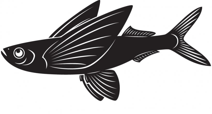 Clip Art Vector Graphics Flying Fish Illustration Image, PNG, 990x534px, Flying Fish, Black, Black And White, Drawing, Fauna Download Free