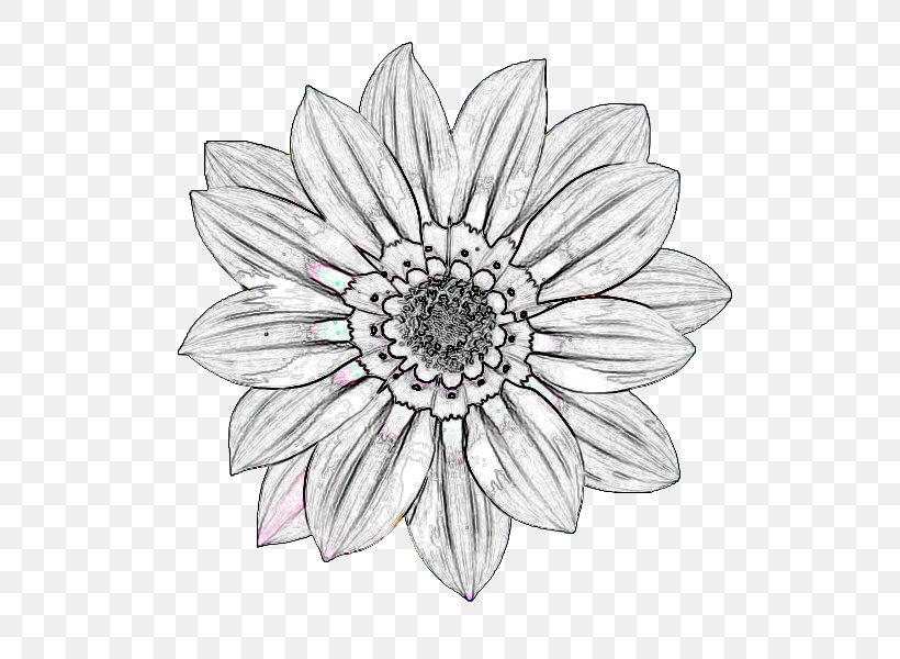 Cut Flowers White Symmetry Sketch, PNG, 800x600px, Cut Flowers, Artwork, Black And White, Drawing, Flora Download Free
