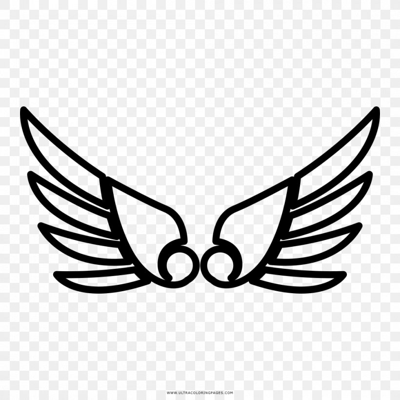 Drawing Black And White Coloring Book Clip Art, PNG, 1000x1000px, Wing, Bat, Beak, Bird, Black Download Free