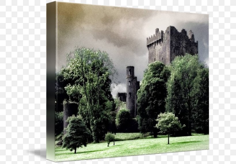 Blarney Castle Painting Gallery Wrap Canvas Art, PNG, 650x570px, Blarney Castle, Art, Blarney, Building, Canvas Download Free