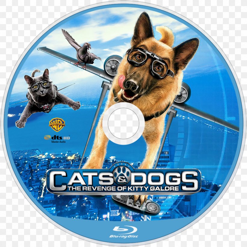 Cats & Dogs YouTube Kitty Galore Film, PNG, 1000x1000px, Cat, Cats Dogs, Dog, Dog Like Mammal, Dubbing Download Free