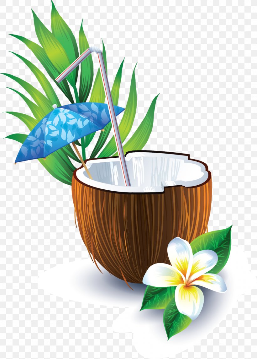 Coconut Water Cocktail Coconut Milk, PNG, 1147x1600px, Coconut Water, Cocktail, Coconut, Coconut Milk, Coconut Oil Download Free