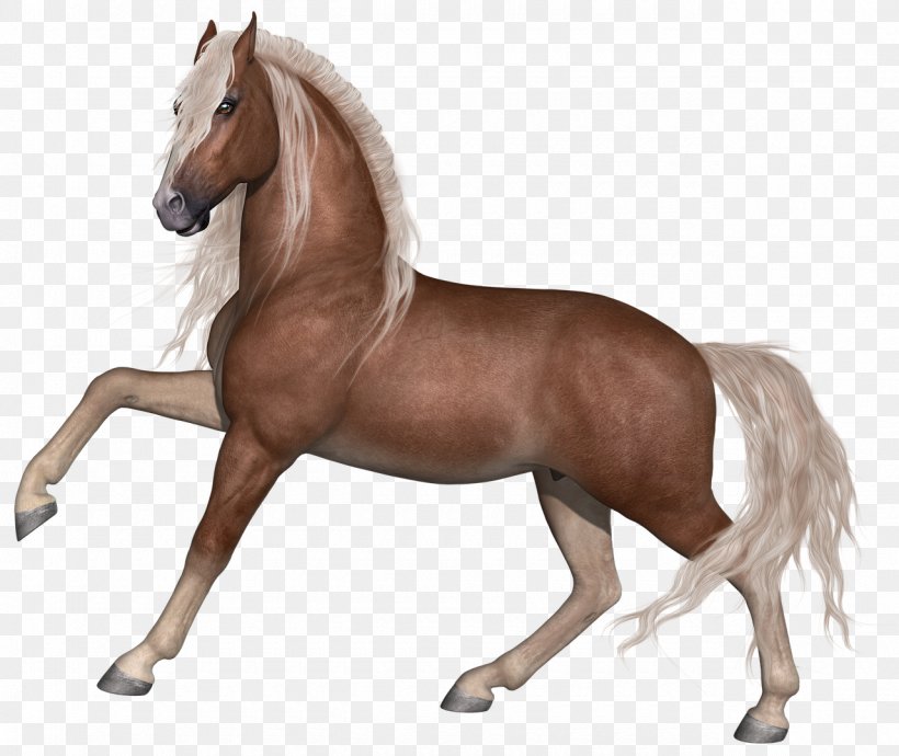 Horse Stallion Foal Mane, PNG, 1280x1078px, Horse, Animal, Bridle, Bronco, Drawing Download Free