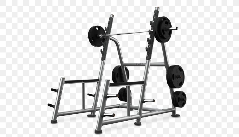 Power Rack Squat Dumbbell Physical Fitness Smith Machine, PNG, 600x470px, Power Rack, Barbell, Bench, Bench Press, Dumbbell Download Free