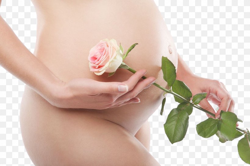 Pregnancy Mother Woman Gestation Child, PNG, 1024x683px, Pregnancy, Abdomen, Alternative Medicine, Beauty, Child Download Free