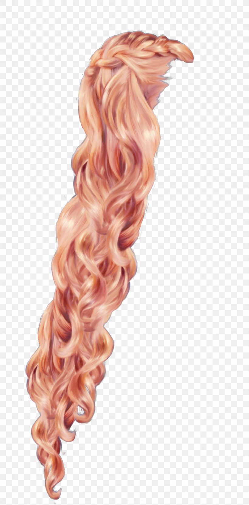 Rapunzel Hair Braid Wig, PNG, 1024x2076px, Rapunzel, Blond, Braid, Brown Hair, Brush Download Free