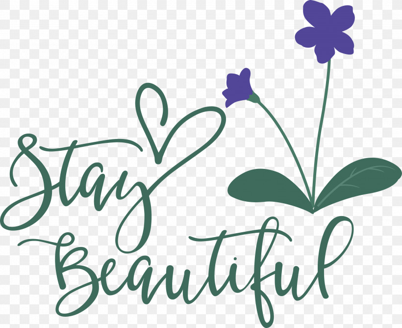 Stay Beautiful Fashion, PNG, 3000x2447px, Stay Beautiful, Biology, Fashion, Floral Design, Leaf Download Free