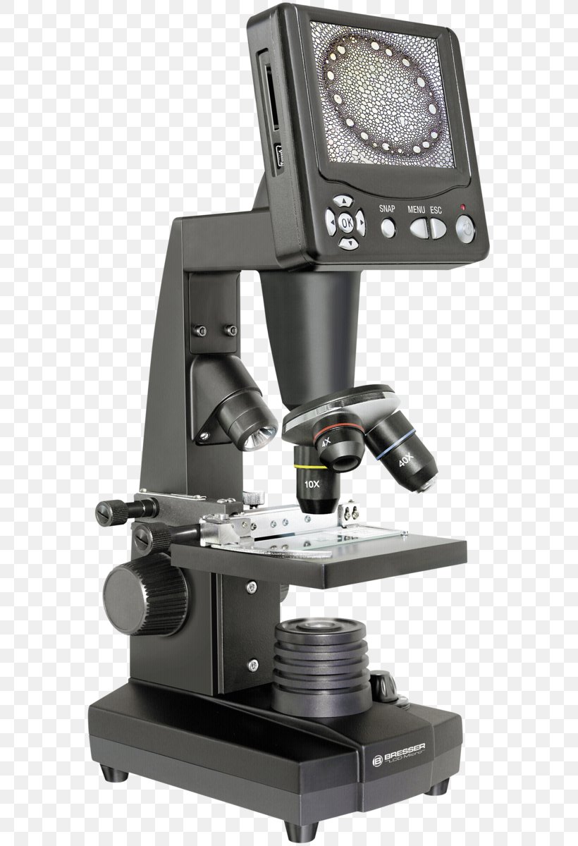 Digital Microscope Bresser Optical Microscope Optics, PNG, 578x1200px, Microscope, Binoculars, Bresser, Camera, Camera Accessory Download Free