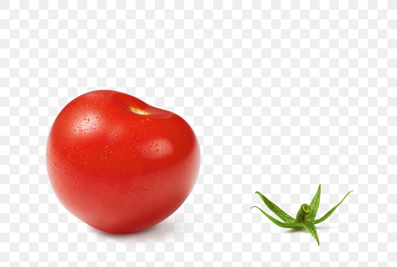 Plum Tomato Bush Tomato Cherry Tomato Hamburger Food, PNG, 658x551px, Plum Tomato, Acerola Family, Beefsteak Tomato, Bush Tomato, Cherry Download Free