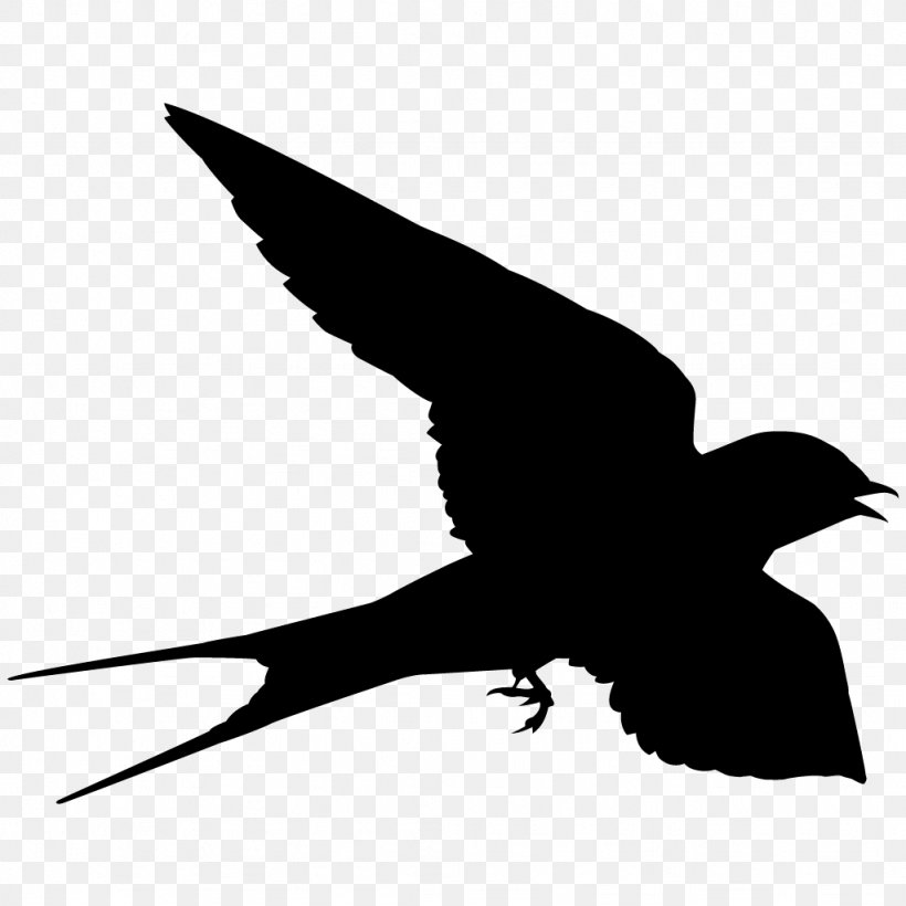 Bird Barn Swallow Falcon Cornell Lab Of Ornithology, PNG, 1024x1024px, Bird, All About Birds, Barn Swallow, Beak, Bird Nest Download Free