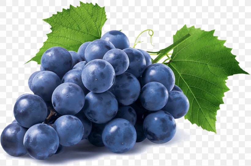 Common Grape Vine Isabella Stock Photography, PNG, 1049x693px, Common Grape Vine, Berry, Bilberry, Blueberry, Currant Download Free