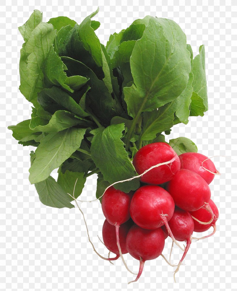 Daikon Leaf Vegetable Clip Art, PNG, 1220x1500px, Daikon, Beet, Beetroot, Berry, Chard Download Free