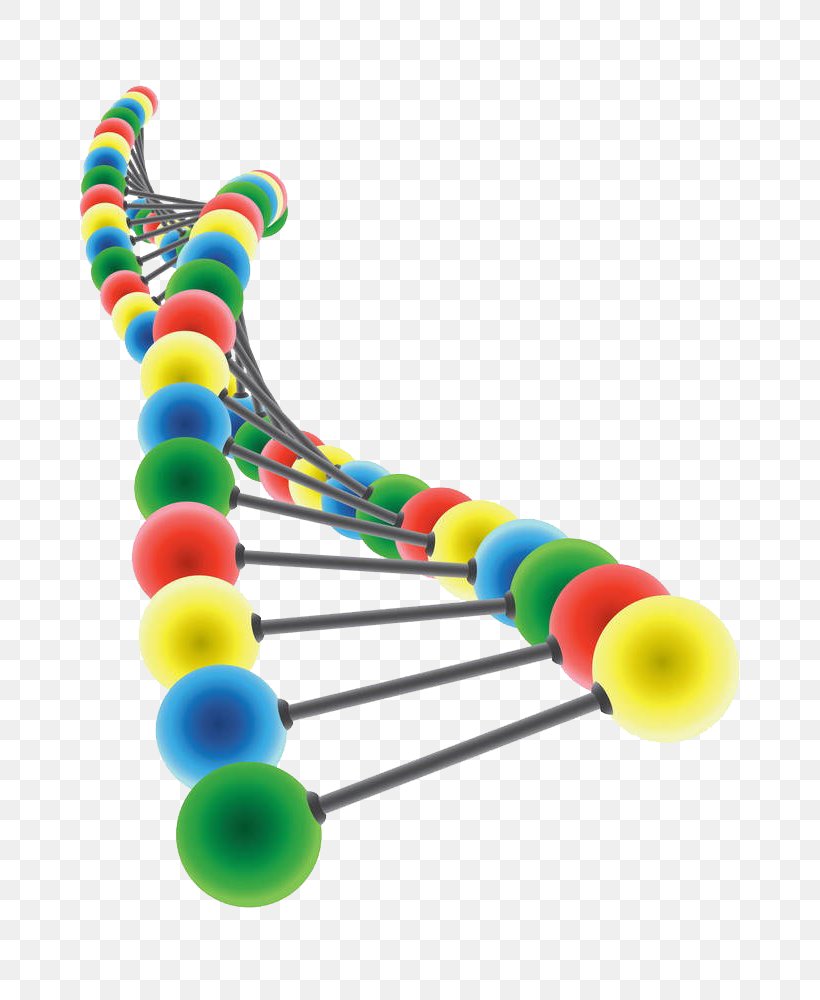 DNA Royalty-free Nucleic Acid Double Helix Clip Art, PNG, 714x1000px, Dna, Baby Toys, Body Jewelry, Chromosome, Genetics Download Free
